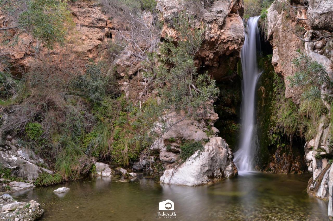 Tottam Art & Healthy Garden Villa Málaga Eksteriør billede